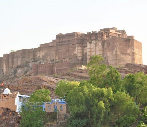 Forts, Lakes & Wild Rajasthan